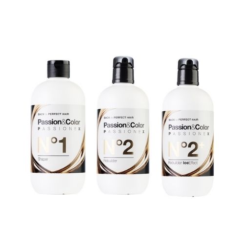 PLEX PASSIONEX Rekonstrukcja włosów KIT (nr1+nr2+nr2+) 3x500ml